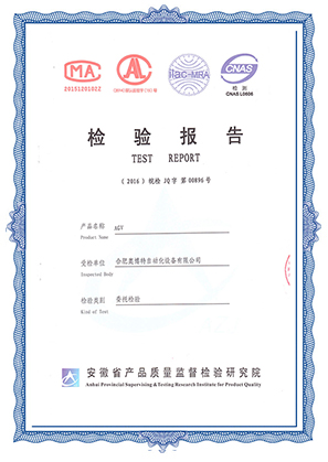檢驗報告